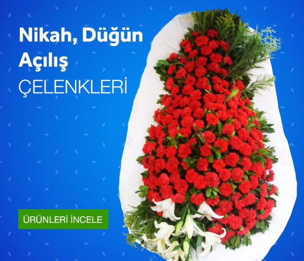 Düğün Nikah Açılış